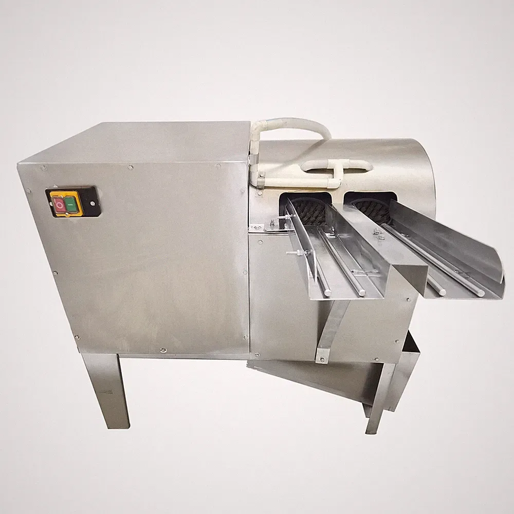 Commercial Dual-Row Egg Washing Machine 4000pcs/h 110V for Poultry Egg Cleaning