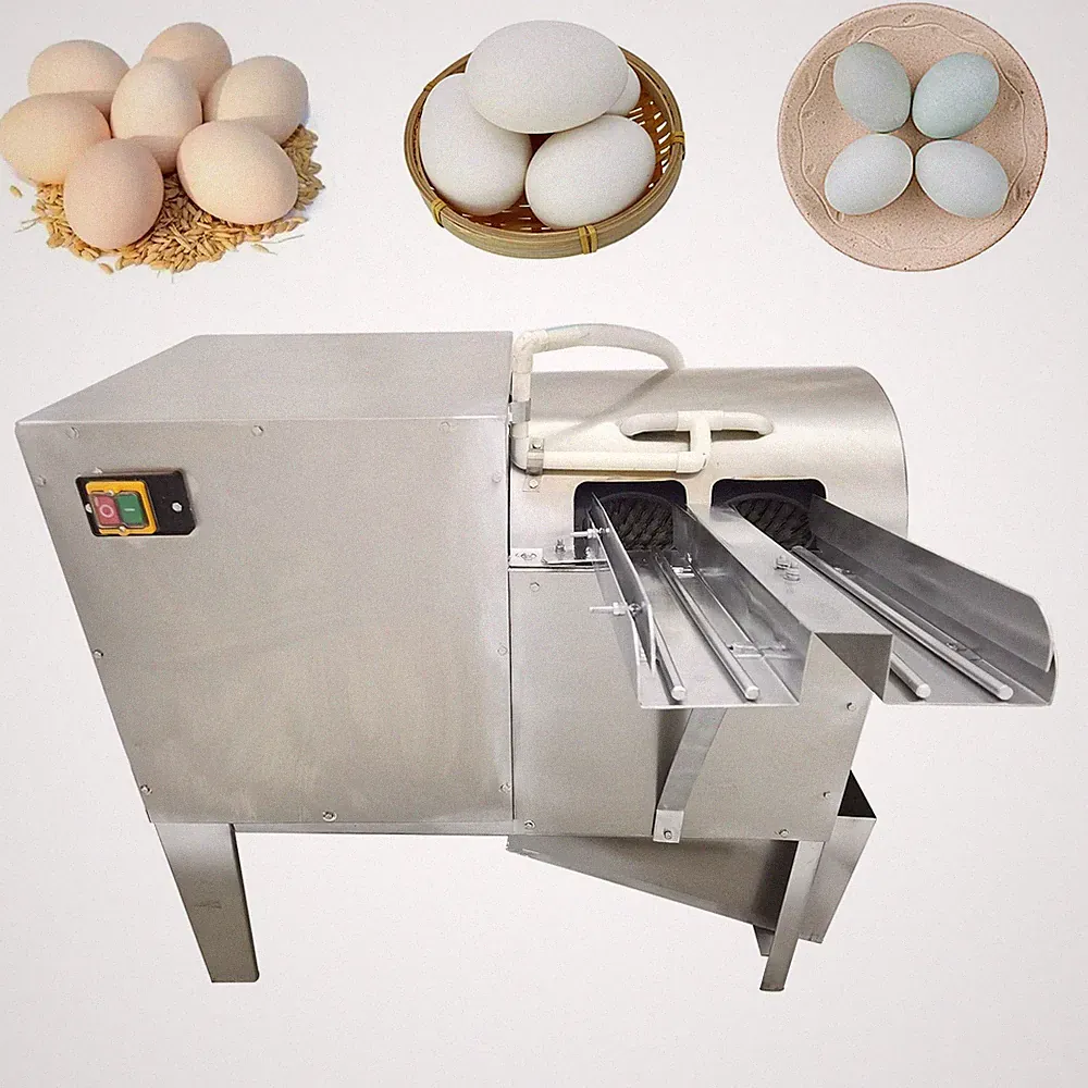 Commercial Egg Surface Auto Cleaning Machine 201 Stainless Steel Double Row 110V