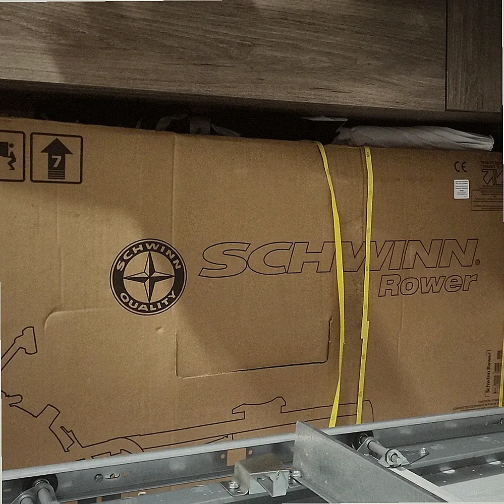 Schwinn Air