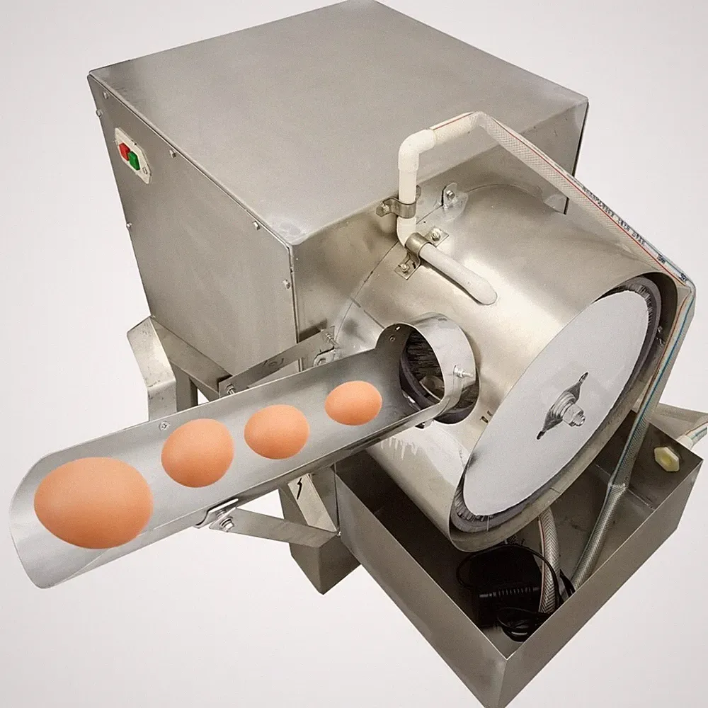 Single Row Eggs Automatic Cleaning Machine 280w Electric Egg Washing Machine