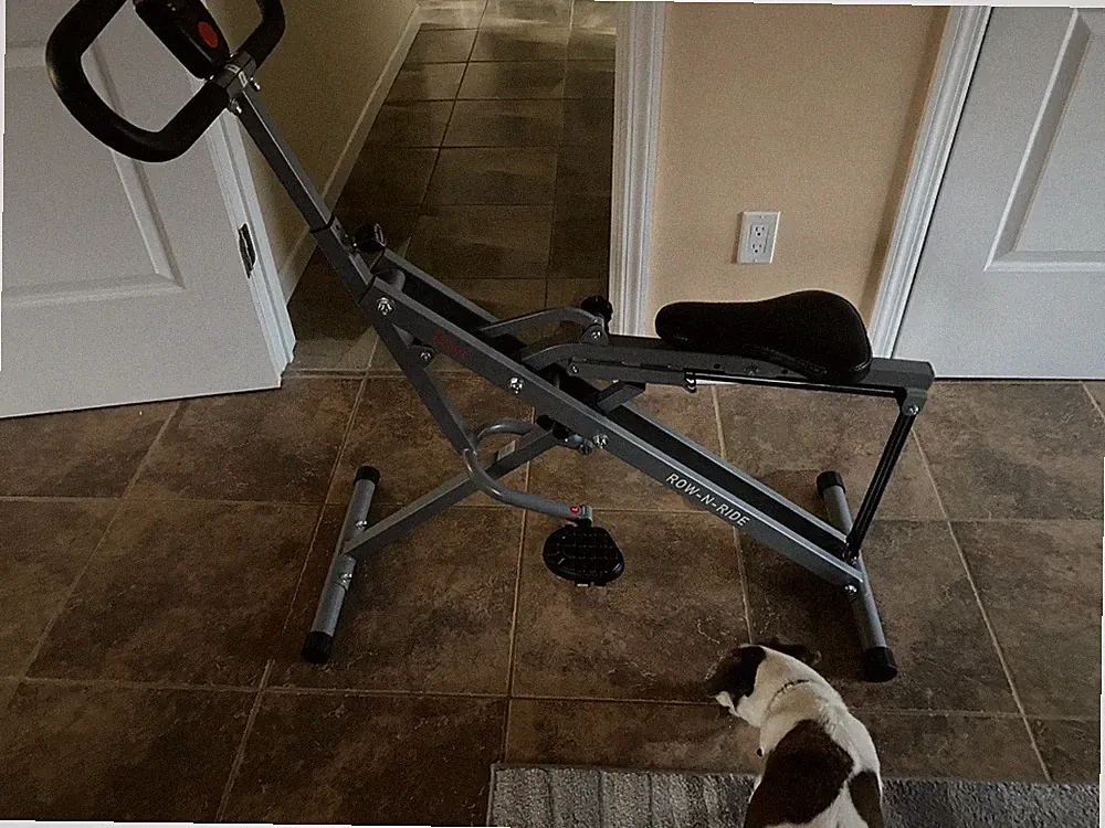 Sunny Health & Fitness Upright Row Ride Fitness Machine